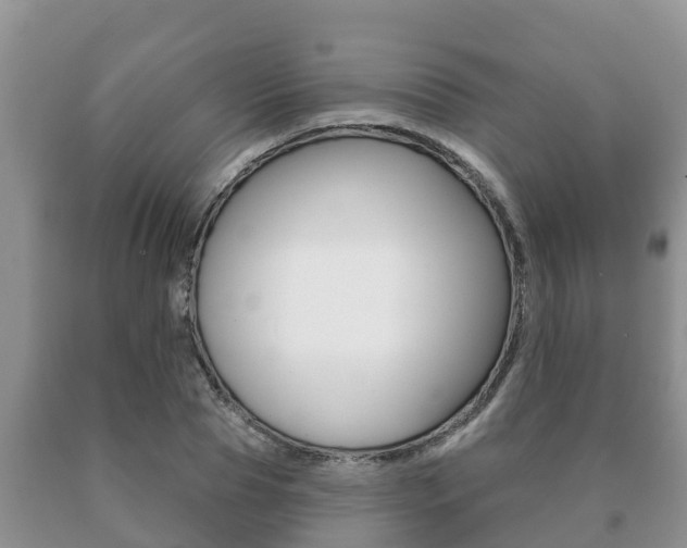 X0000091070929200708061019