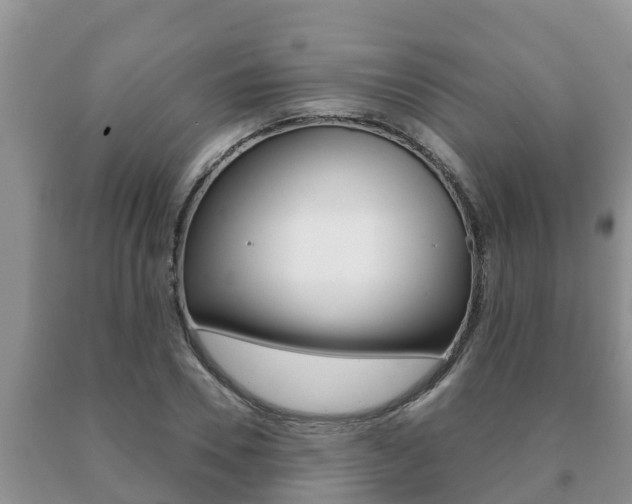 X0000091070930200708061019