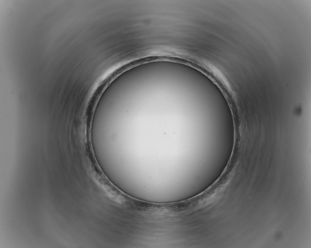 X0000091070931200708061019