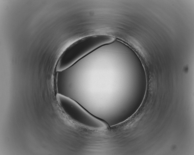 X0000091070932200708061019