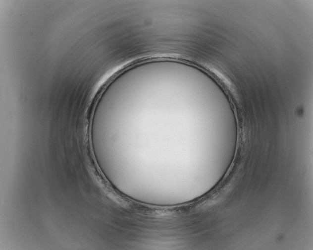 X0000091070933200708061019