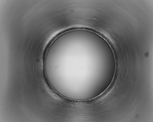 X0000091070934200708061019