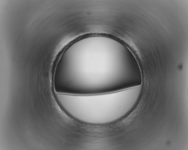 X0000091070935200708061019