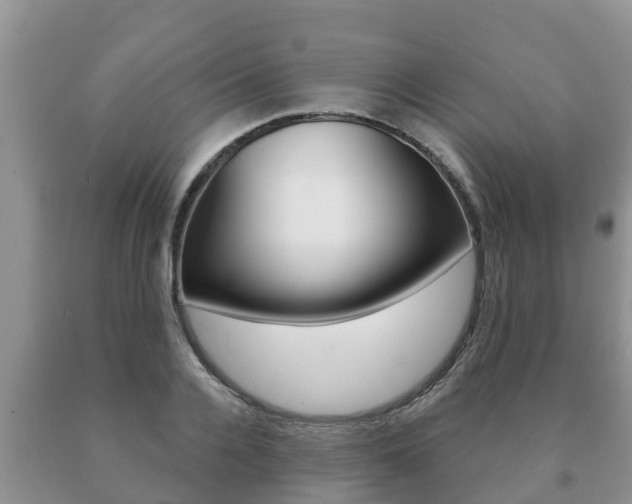 X0000091070936200708061019