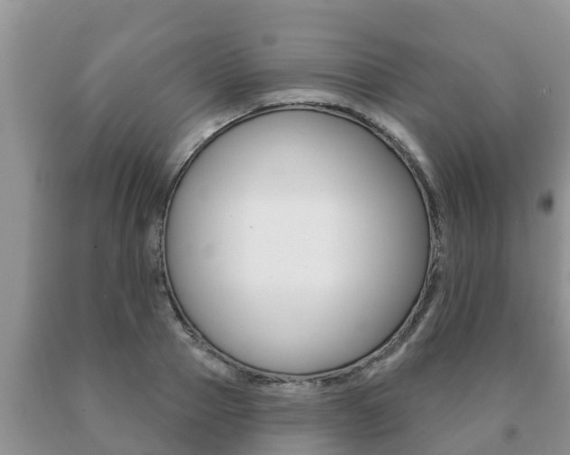 X0000091070937200708061019