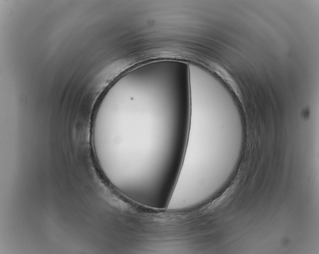 X0000091070938200708061020