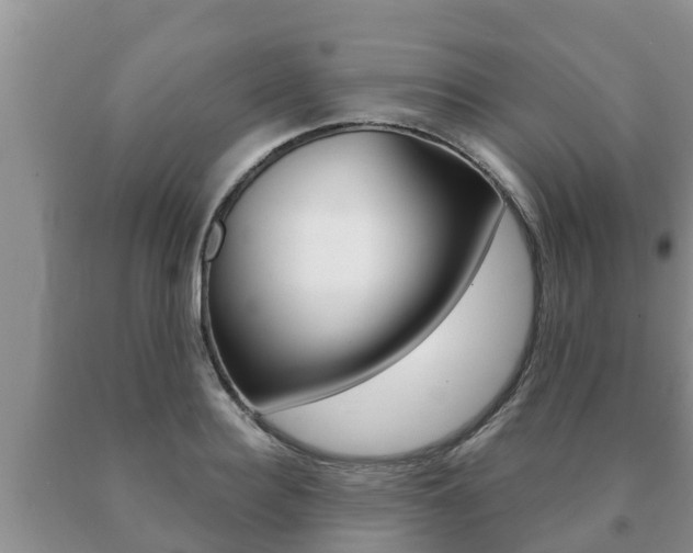X0000091070940200708061020