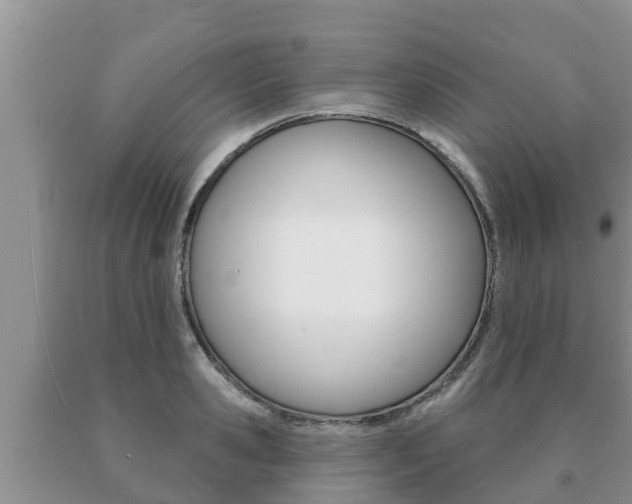 X0000091070941200708061020