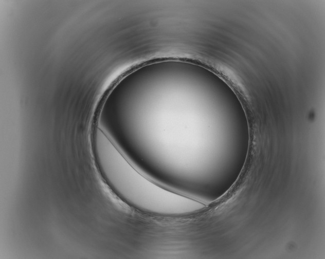 X0000091070942200708061020