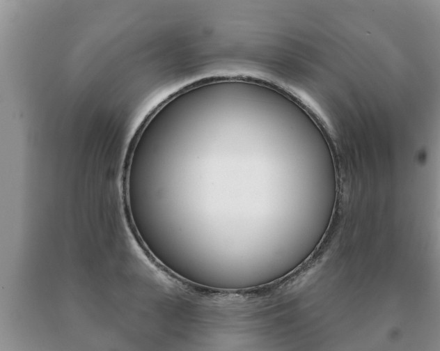 X0000091070943200708061020