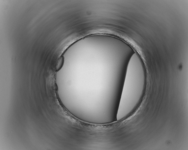 X0000091070945200708061020
