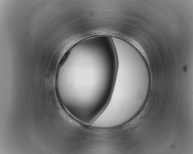 X0000091070946200708061020