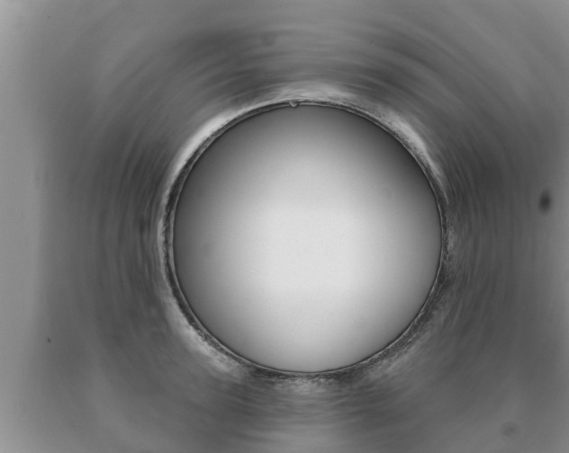 X0000091070947200708061020
