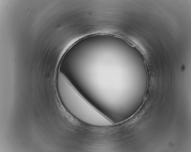 X0000091070948200708061020