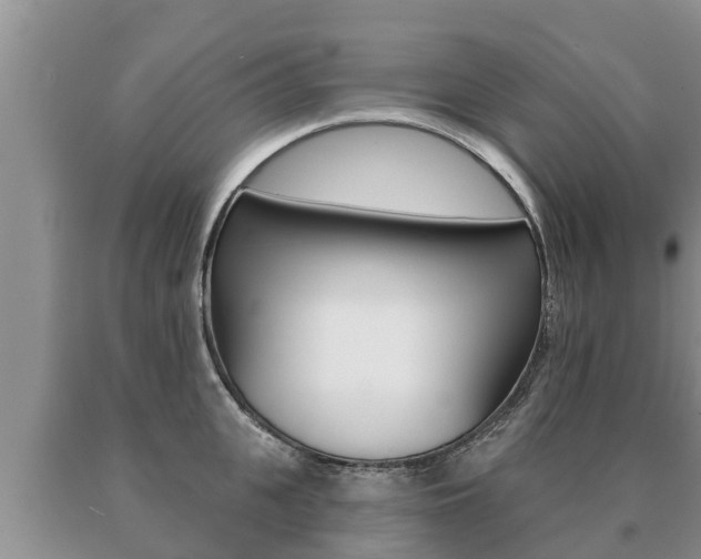 X0000091070951200708061020