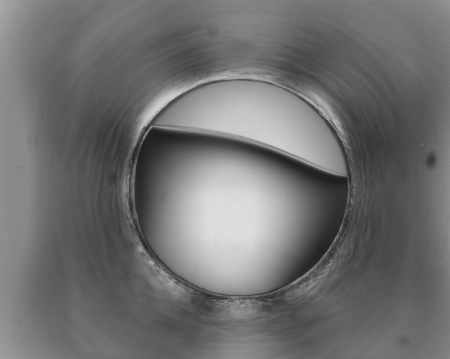 X0000091070952200708061020