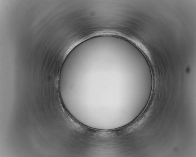 X0000091070953200708061020