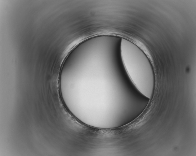 X0000091070954200708061020