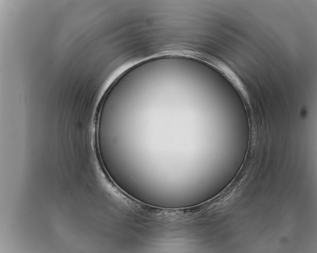 X0000091070955200708061020