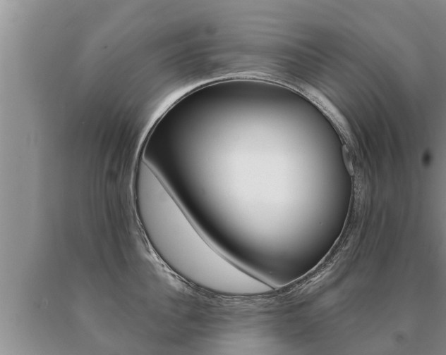 X0000091070956200708061020