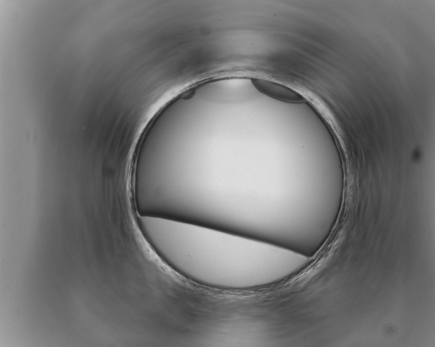 X0000091070957200708061020