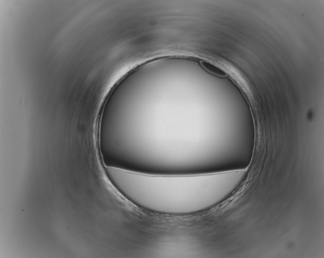 X0000091070958200708061020