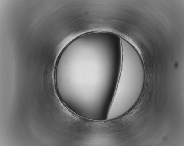 X0000091070959200708061020