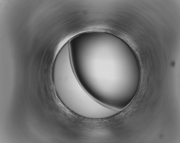 X0000091070960200708061020
