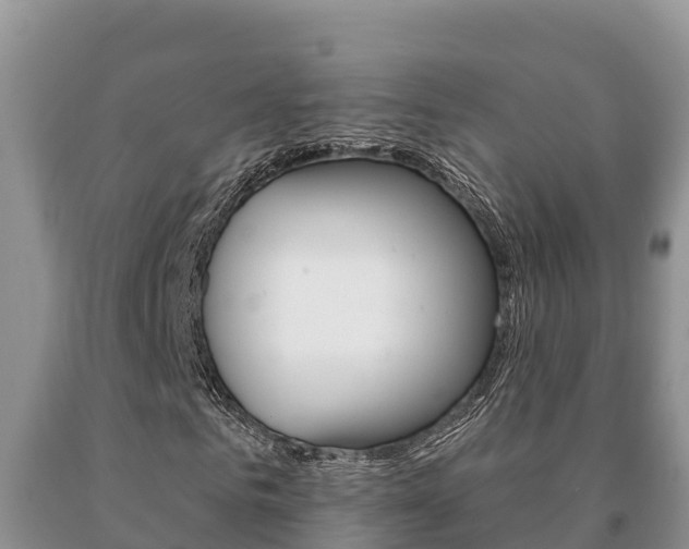 X0000091070961200708061019