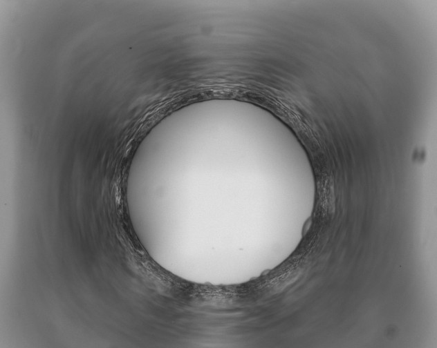 X0000091070962200708061019