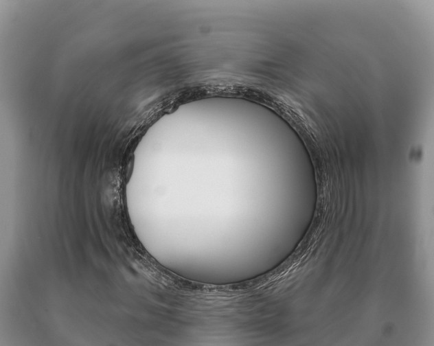 X0000091070964200708061019