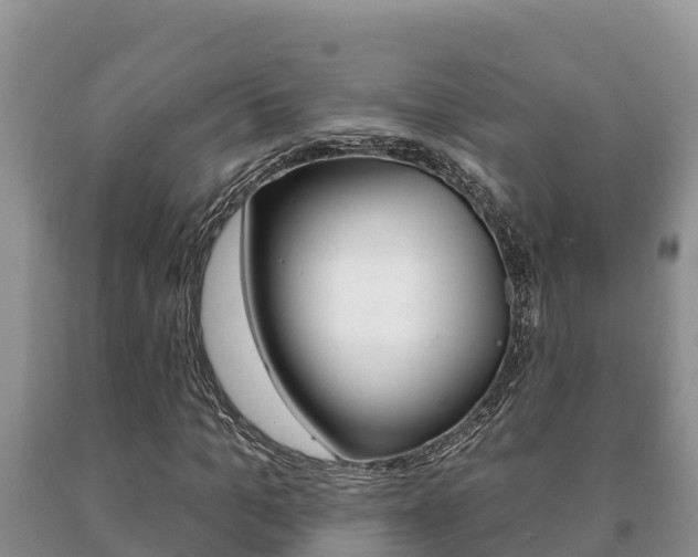 X0000091070965200708061019