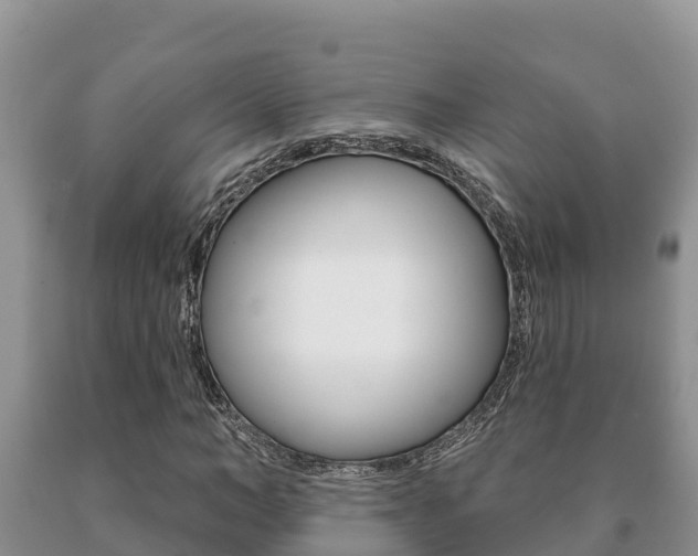 X0000091070966200708061019