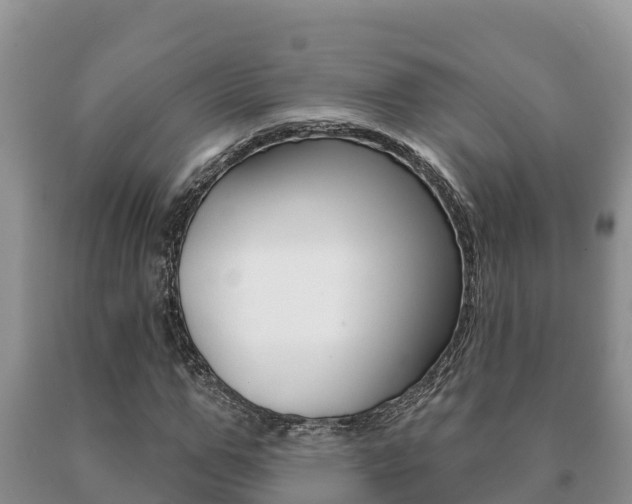 X0000091070967200708061019