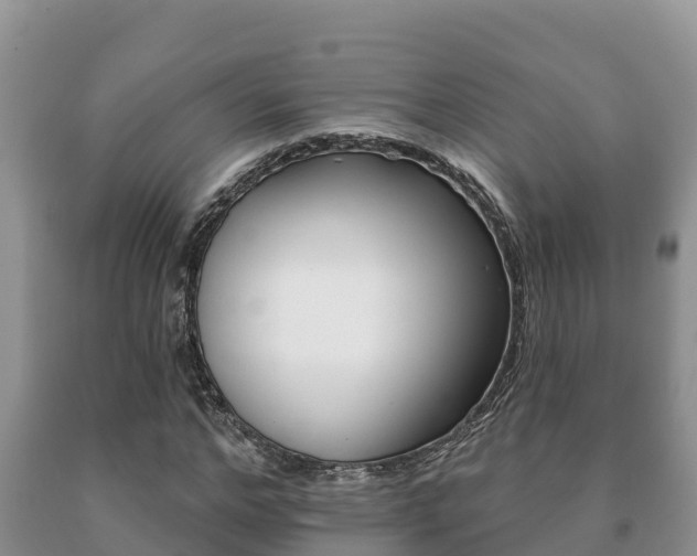 X0000091070968200708061019