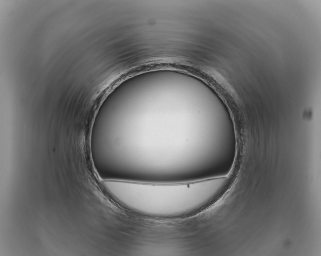 X0000091070969200708061019
