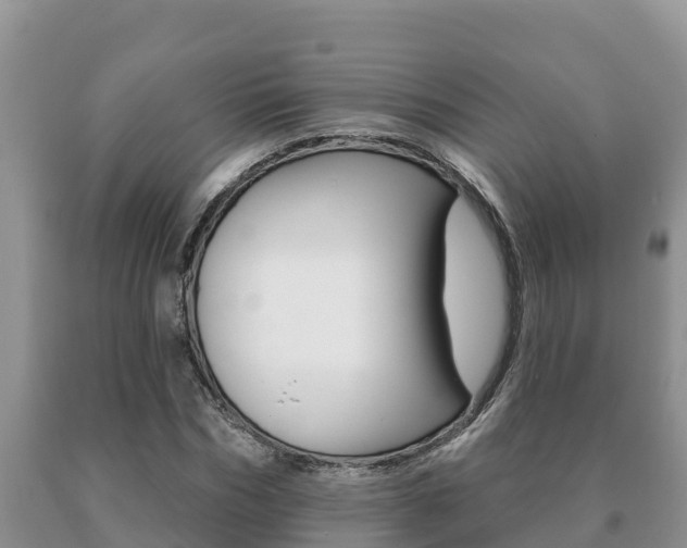 X0000091070970200708061019