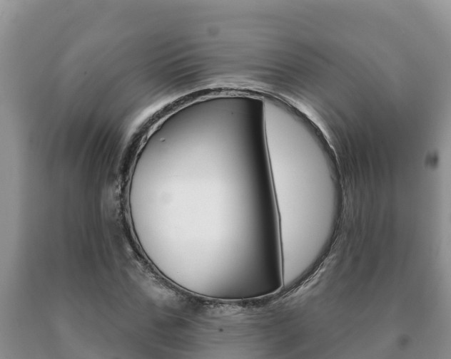 X0000091070971200708061019