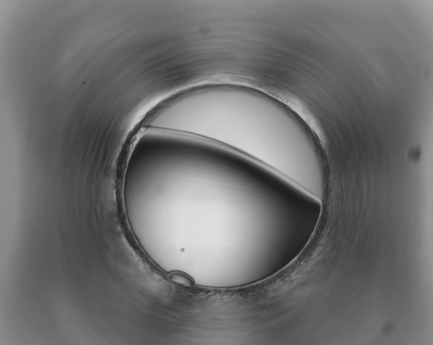 X0000091070972200708061019
