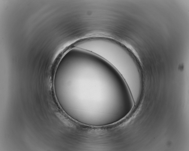 X0000091070973200708061019