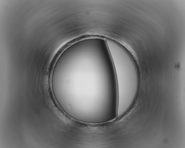 X0000091070976200708061019