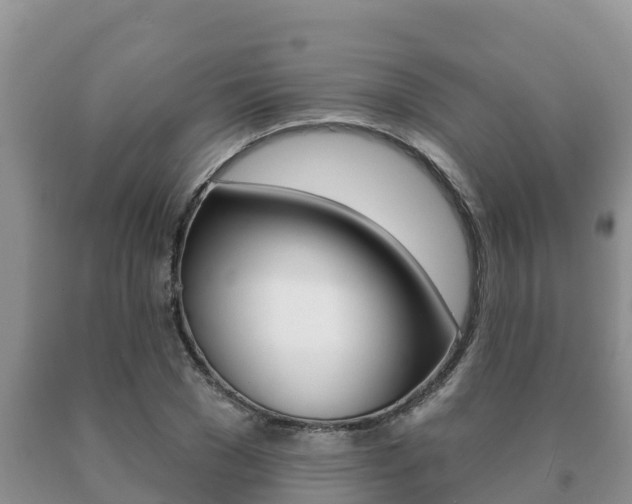X0000091070977200708061019