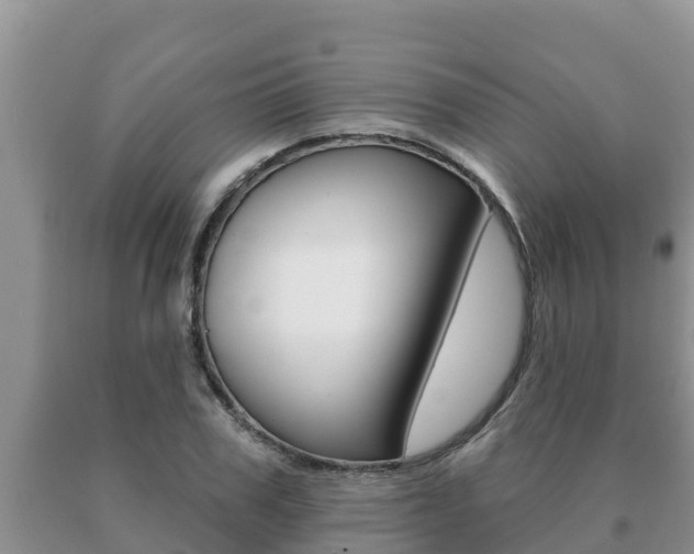 X0000091070979200708061019