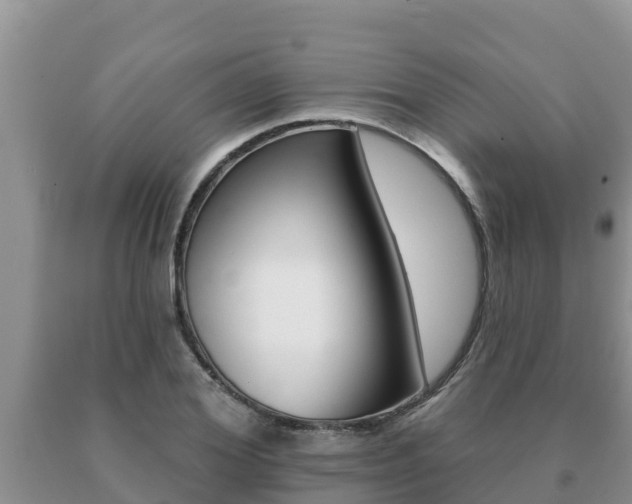 X0000091070980200708061019