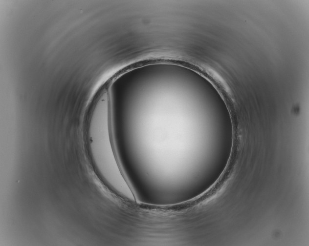 X0000091070981200708061019