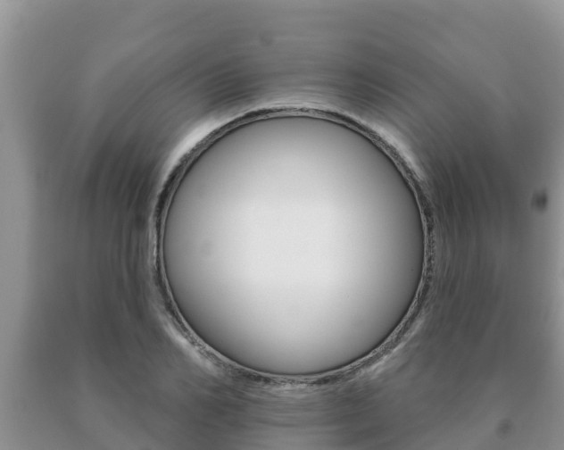 X0000091070982200708061019