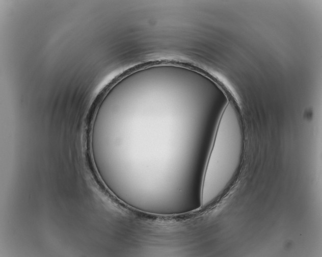 X0000091070983200708061019