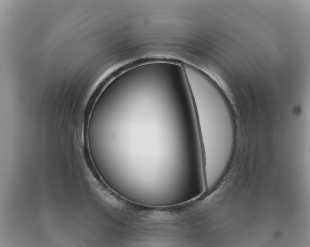X0000091070984200708061019