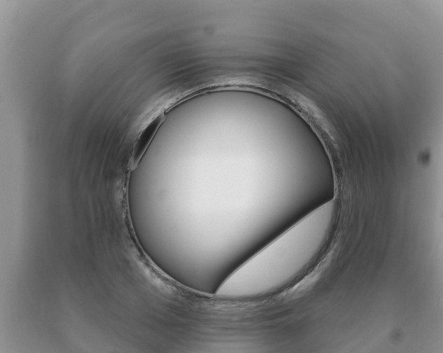 X0000091070985200708061019