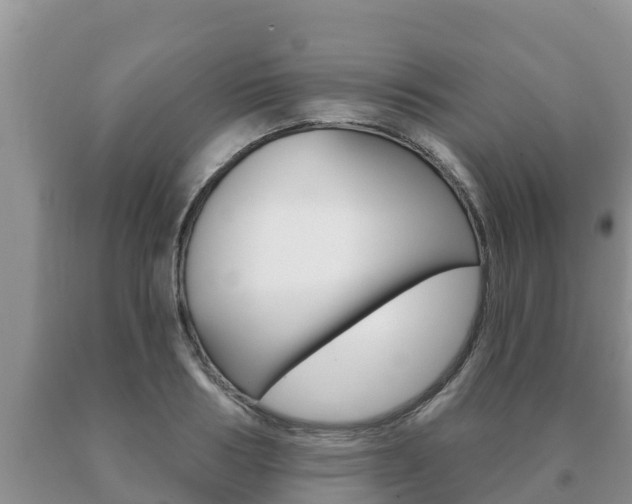 X0000091070986200708061019